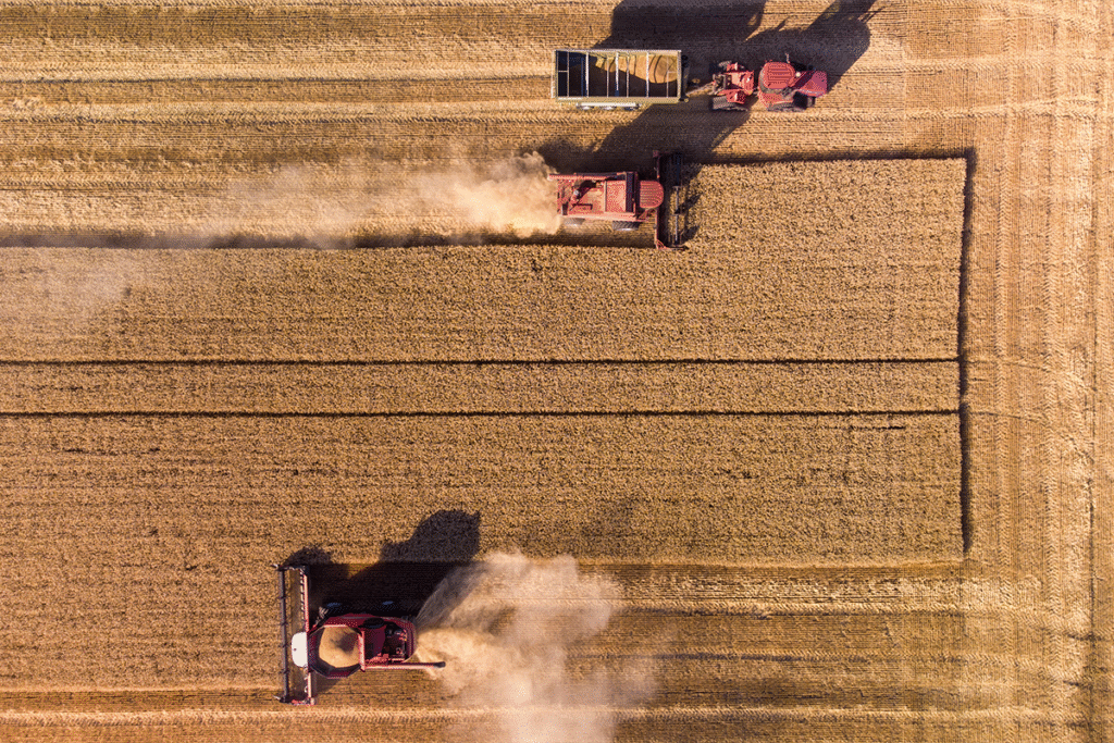 Sua empresa está preparada para captar recursos de inovação? Veja como avaliar