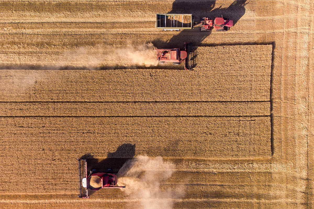 Sua empresa está preparada para captar recursos de inovação? Veja como avaliar