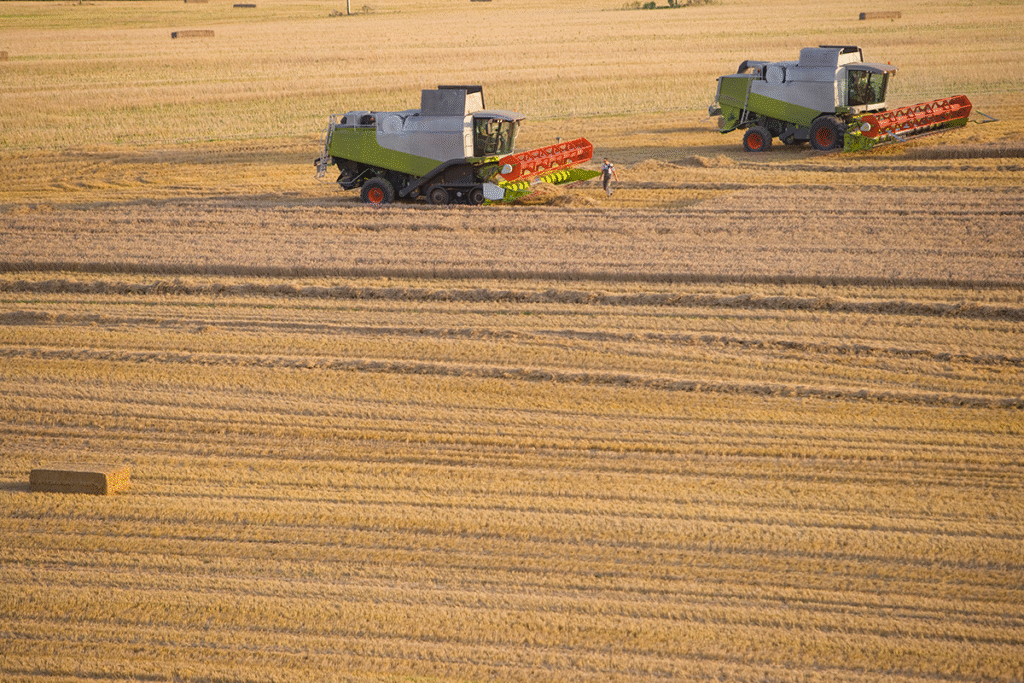 Retrospectiva Lei do Bem 2025: o que os números do MCTI revelam?